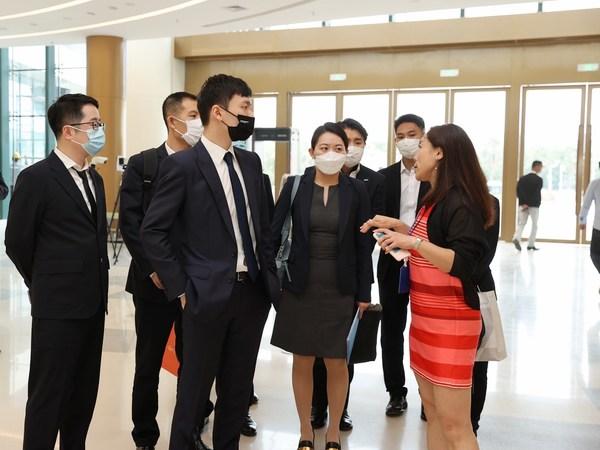 Hàng rào băng đá hay một tác phẩm điêu khắc nghệ thuật?